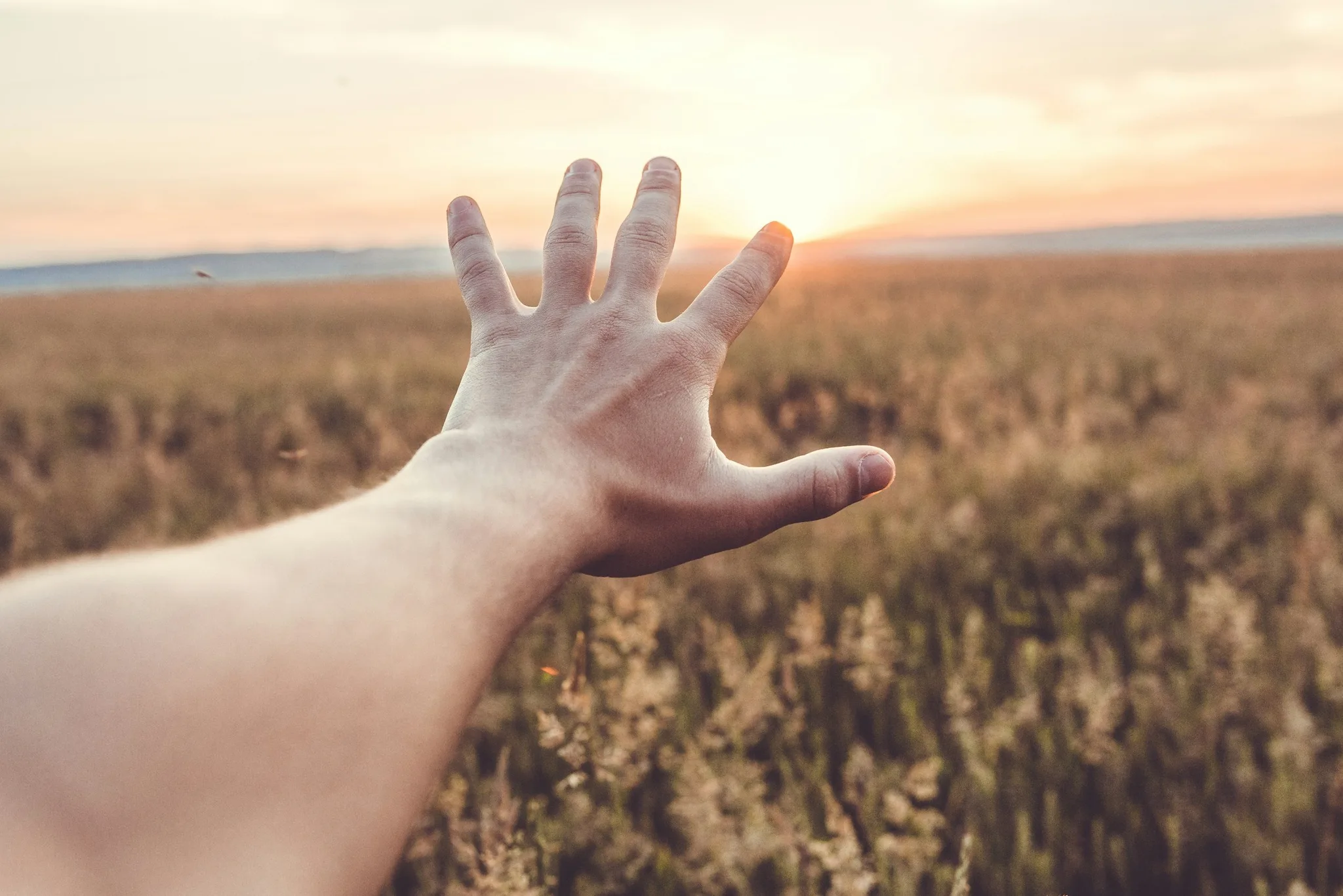 A hand reaching towards a sunset in a field.
