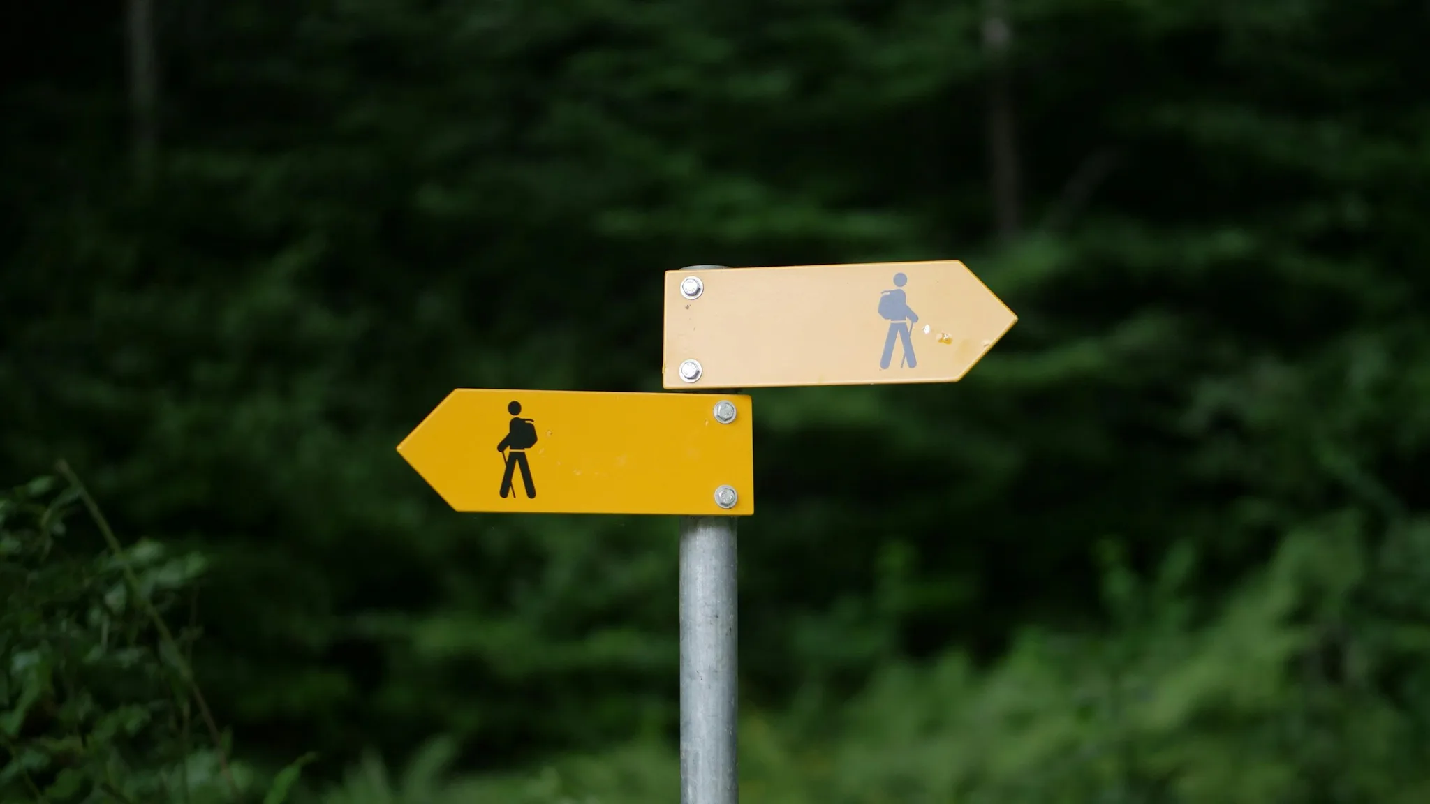 Directional signs for walking and hiking in a forest