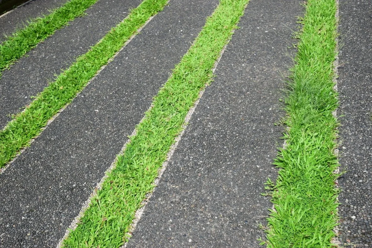 A paved path with strips of grass and gravel.