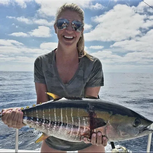 Woman holding a large tuna fish on a boat.