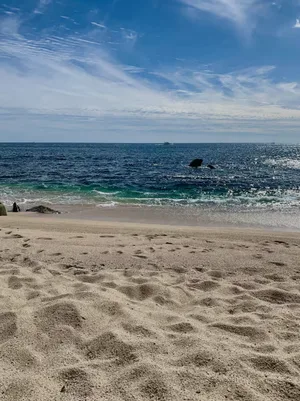 A beach with sand and a calm ocean under a clear sky.