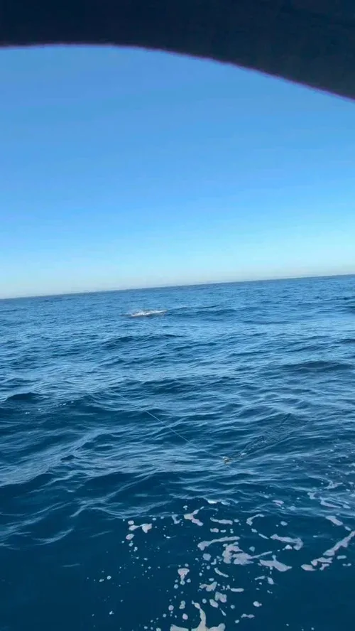 A clear ocean view with calm blue water and a blue sky.