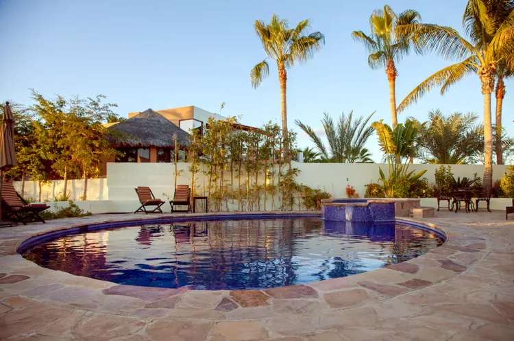 A serene outdoor swimming pool surrounded by palm trees.