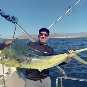 Man holding a large mahi-mahi on a boat in the ocean.
