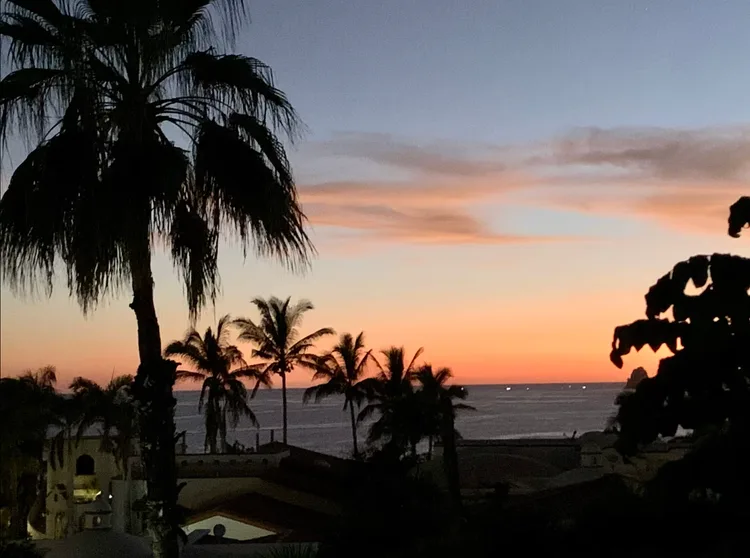 Sunset over the ocean with palm trees silhouetted.
