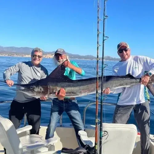 Three men holding a large marlin on a boat.