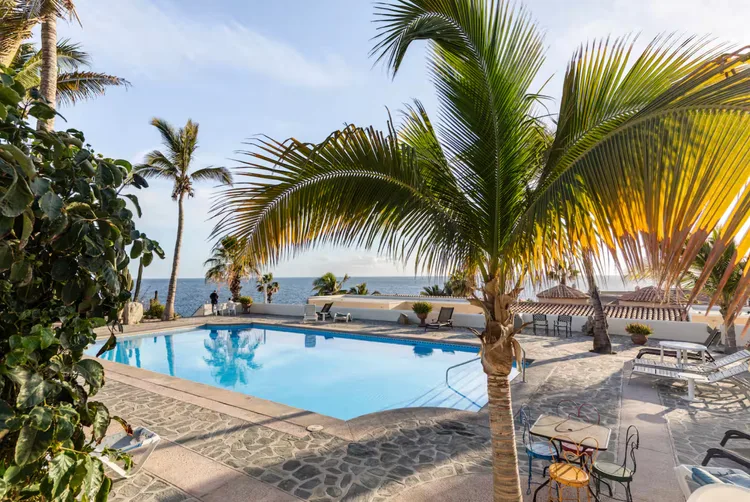 Tropical poolside view with palm trees and ocean.