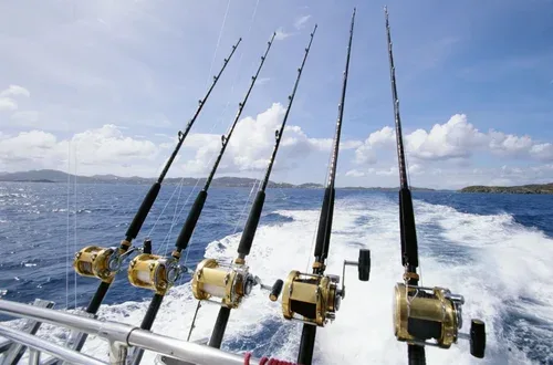 Fishing rods with gold reels on a boat against a blue ocean.