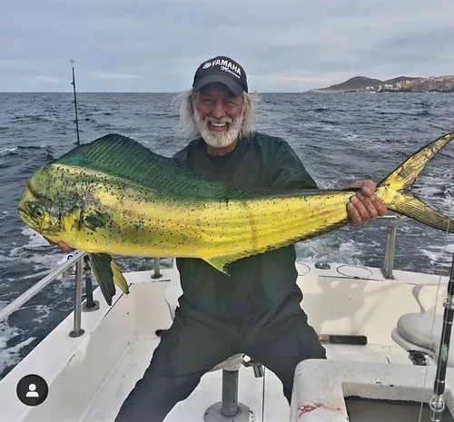 Fisherman holding a large yellow and green Dorado fish on a boat.