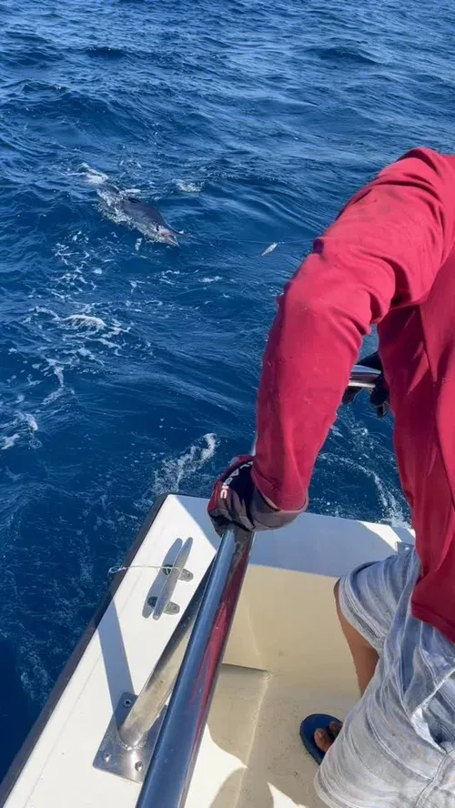 A person holding a rail on a fishing boat with a fish visible.