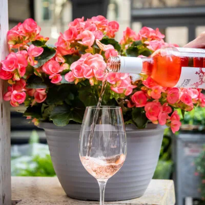 A hand pours rosé wine into a glass by pink flowers.