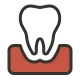 Icon of a tooth above a red gum line