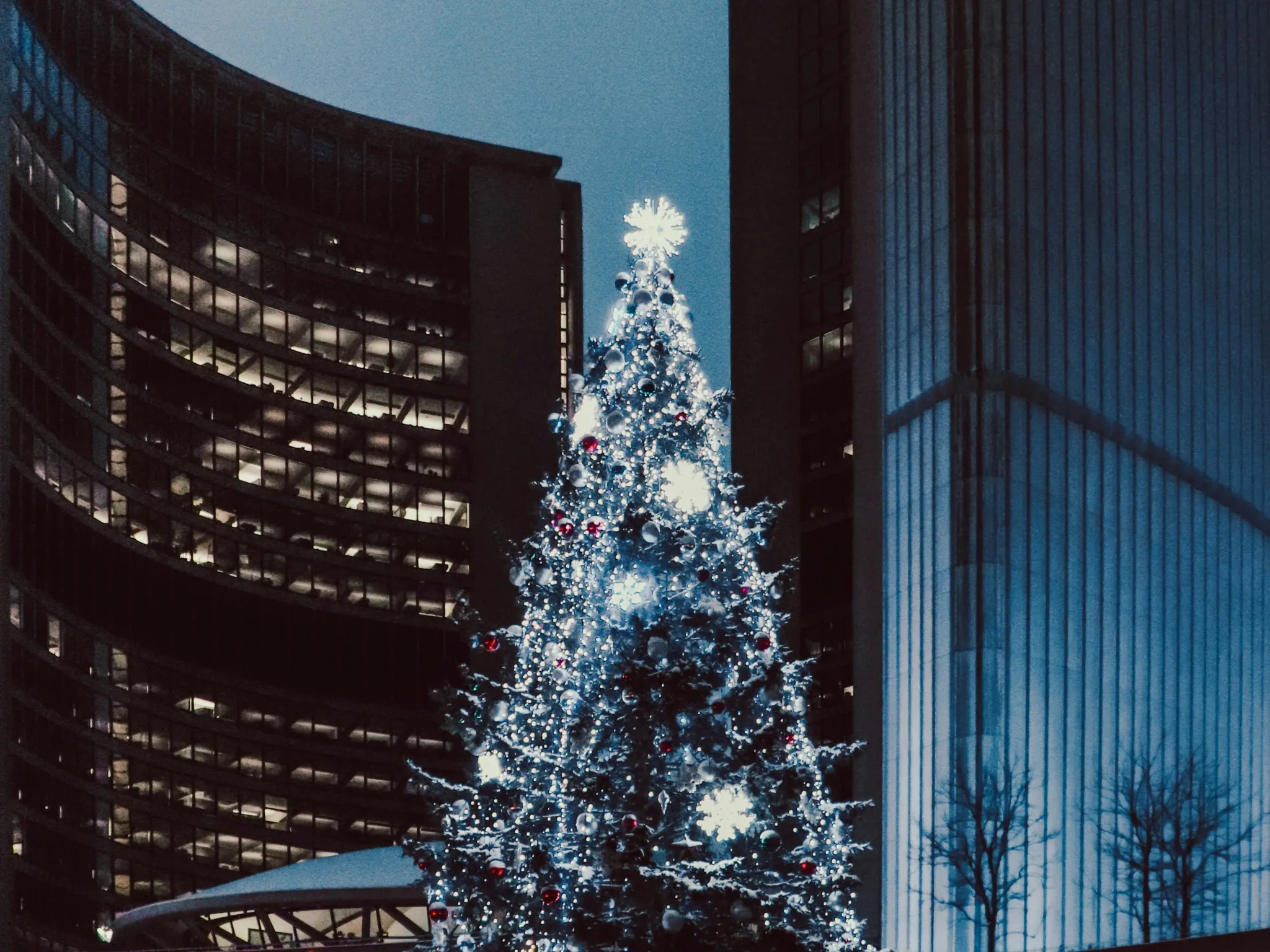 A Christmas tree illuminated in an urban setting.