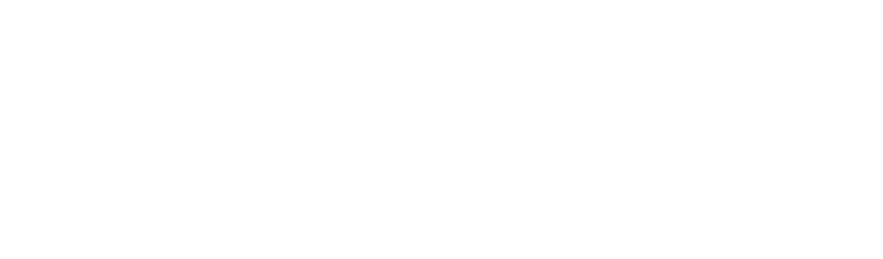 Spadina Optometry logo in white text