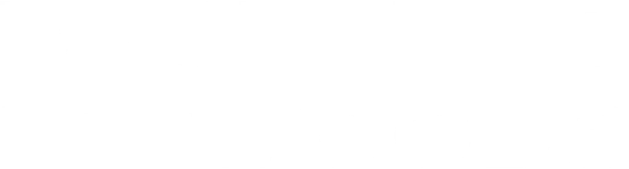 Brothers in the Woods logo with bold typography