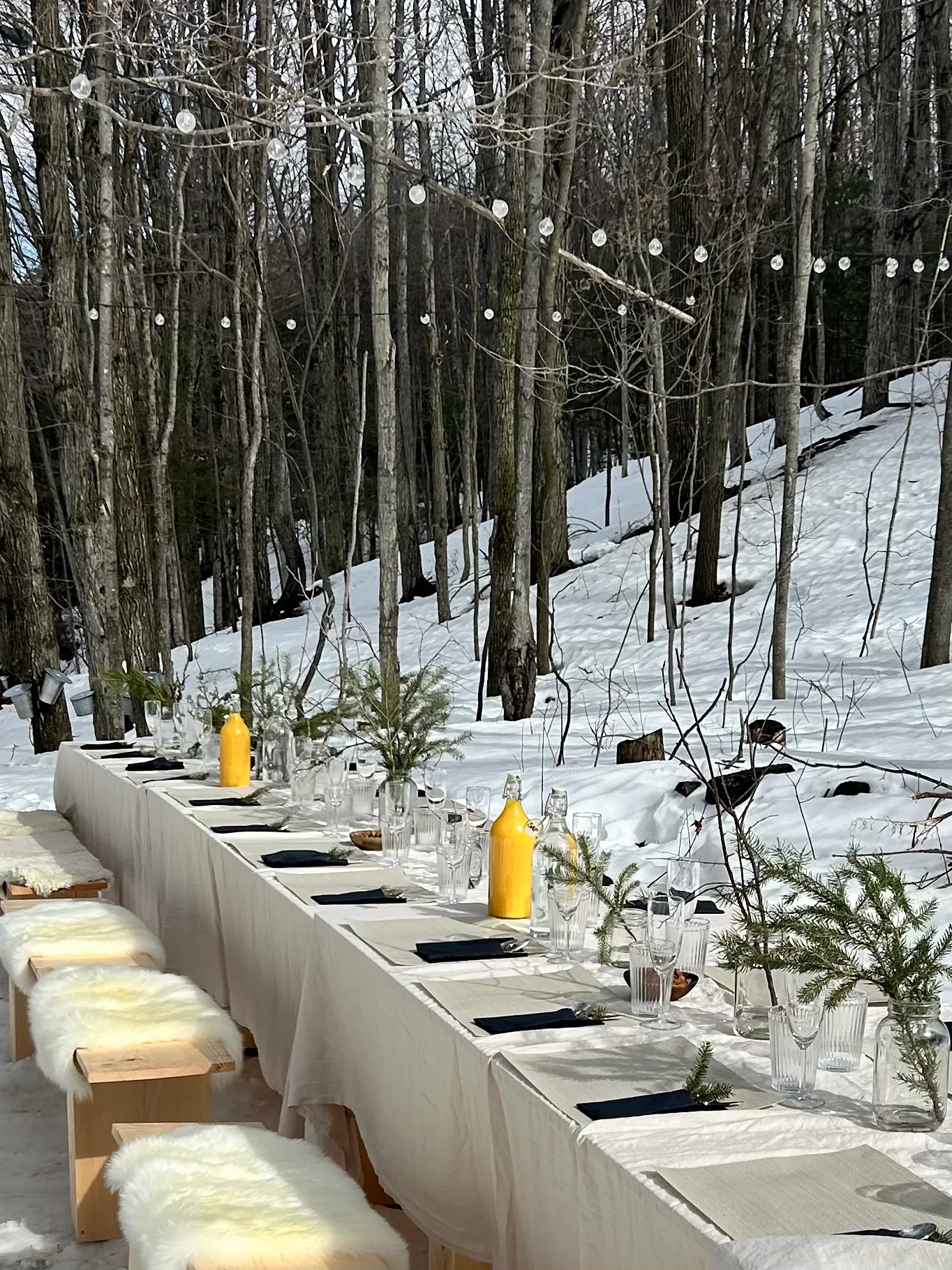 An outdoor dining setup in a snowy forest.