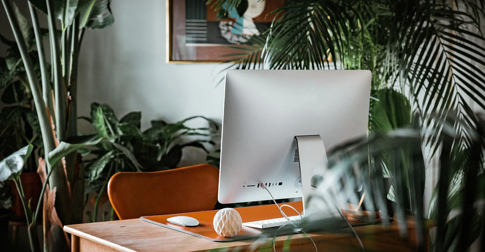 A modern workspace with plants and a computer desk.