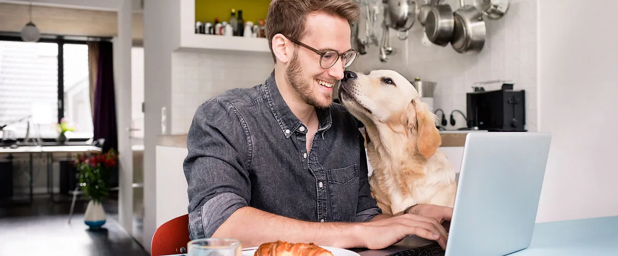 A man working on a laptop with a golden retriever.