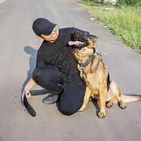A man playing with a German Shepherd dog outdoors.