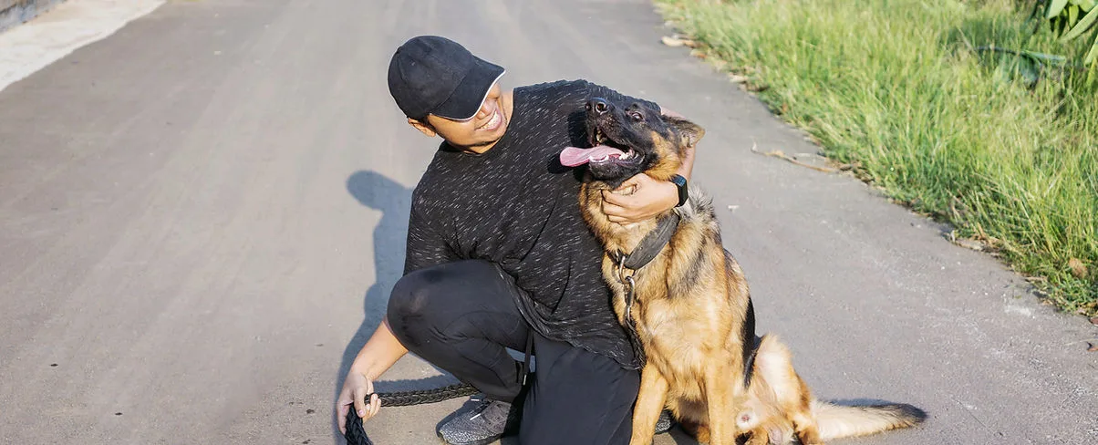 A person playing with a happy German Shepherd dog.