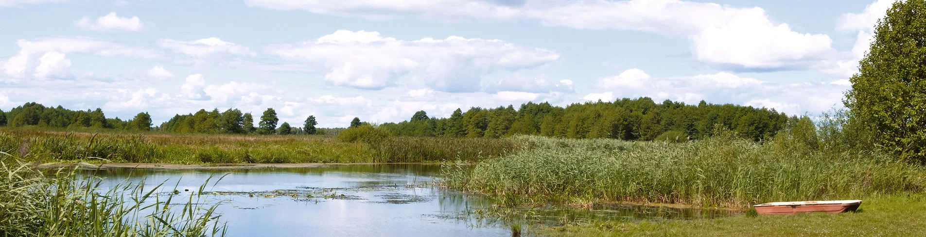 A tranquil lakeside scene with greenery and a small boat.