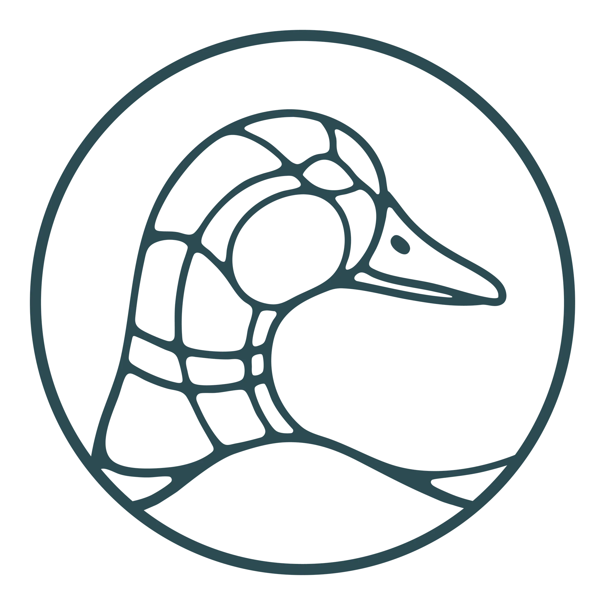 Logo of a stylized duck's head in a circular design.