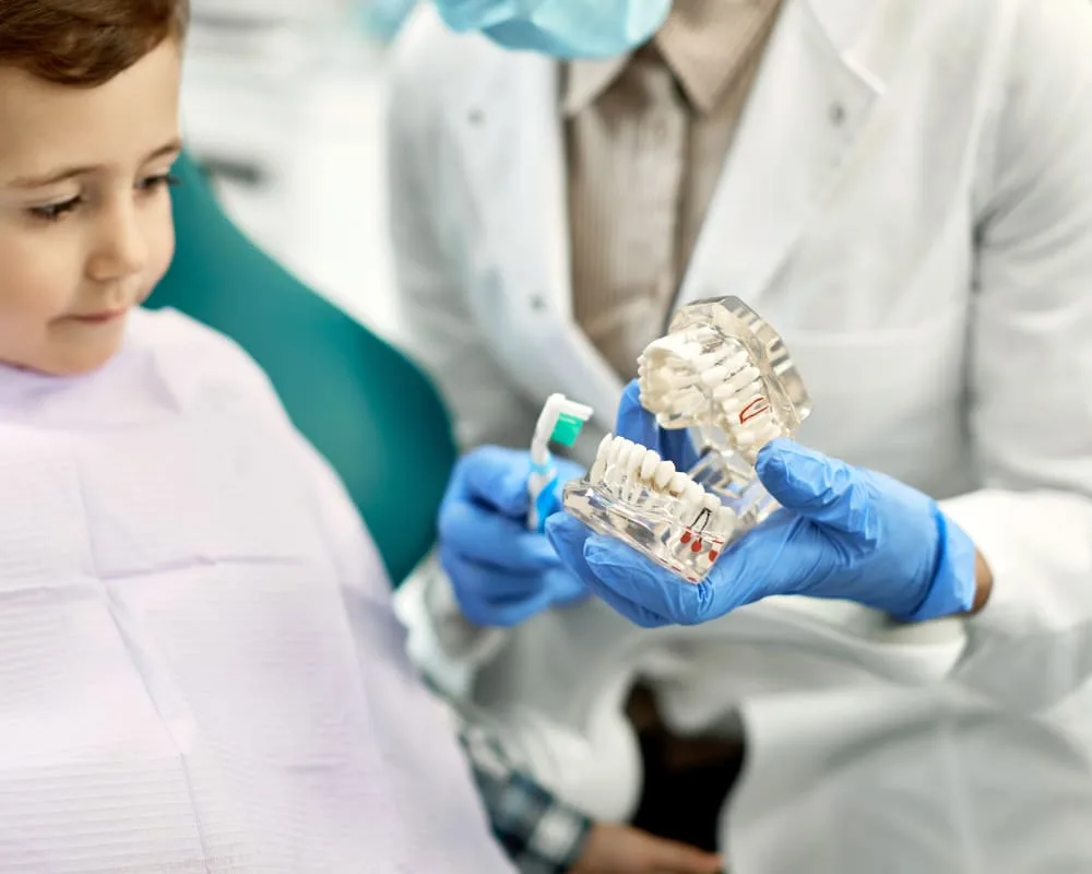 A child observing a dentist demonstrating tooth brushing.
