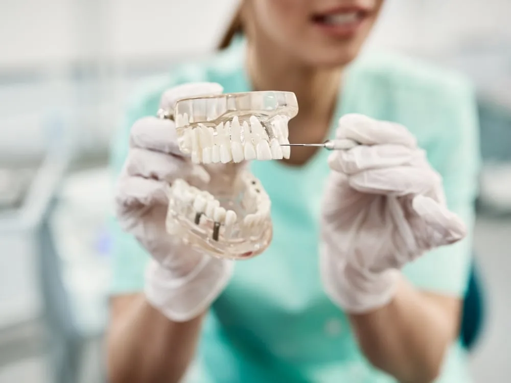 A dental professional examining a teeth model in a clinic.