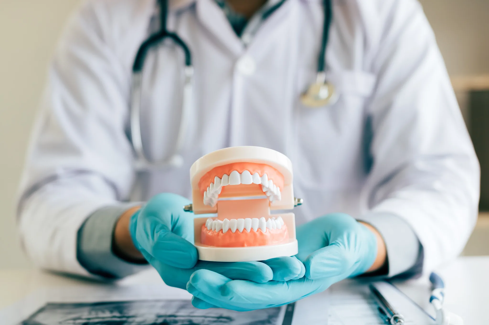 Dentist holding a dentures model in a dental office.