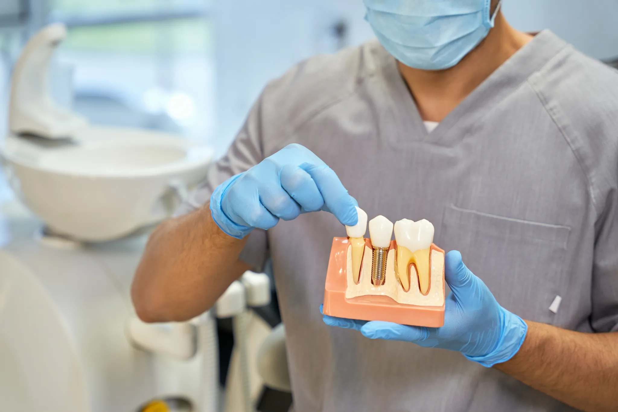 A dental technician shows a dental anatomy model.