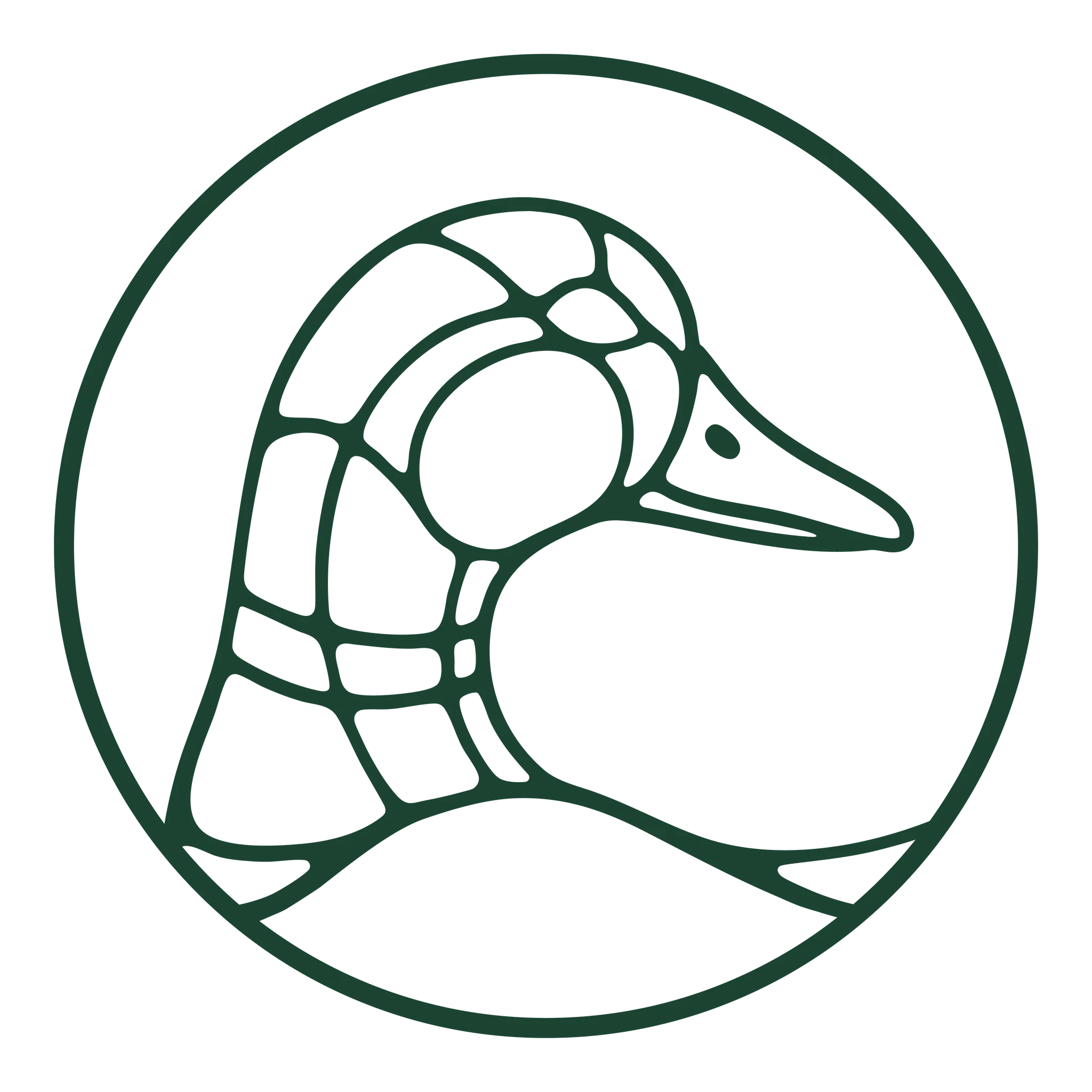 Minimalist logo of a stylized duck's head in dark green.