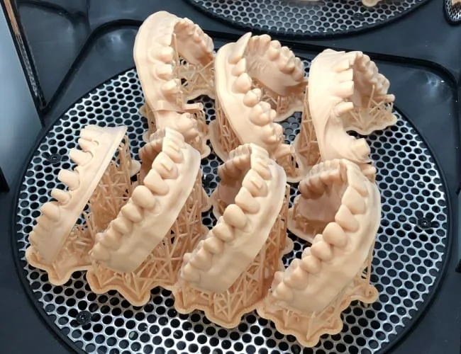 Set of dental models on a tray for display.