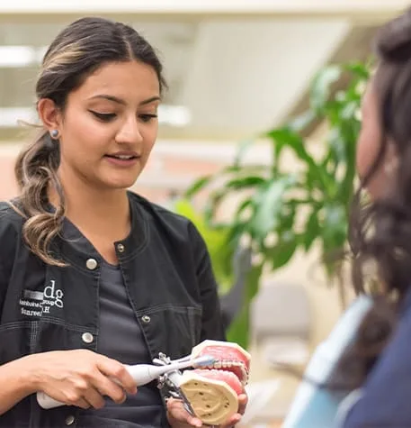 Dental professional demonstrating preventive care with a model.