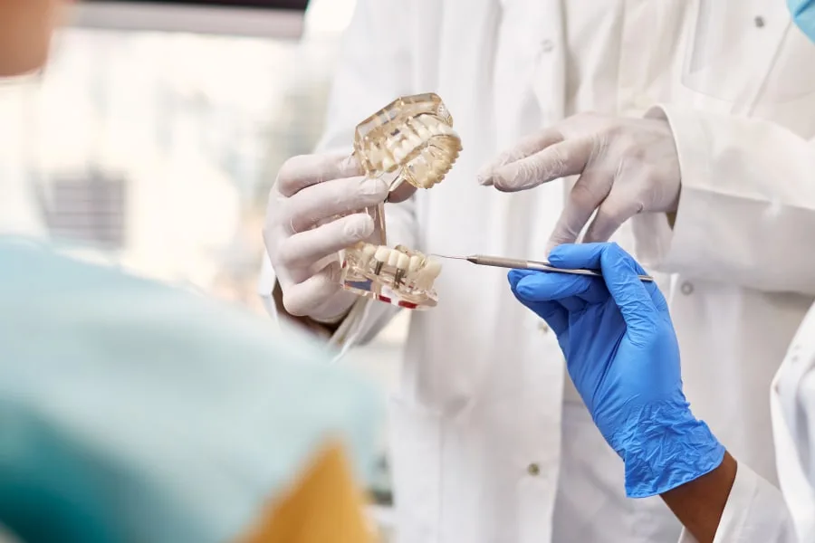 A dentist demonstrating a clear dental model to a patient.