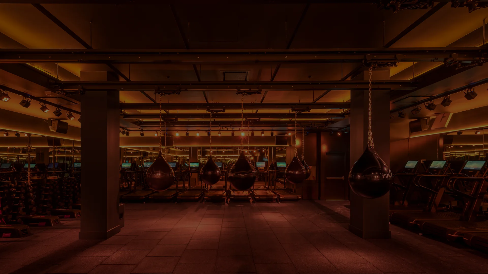A fitness studio with hanging punching bags and workout machines.